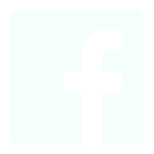 facebook-brands